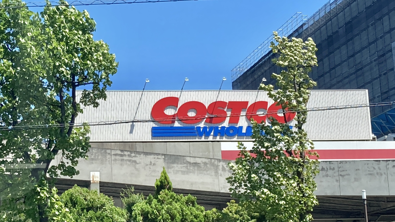 コストコ牛乳3種を徹底比較！味とコスパの実力を検証実践的の使い方ガイド